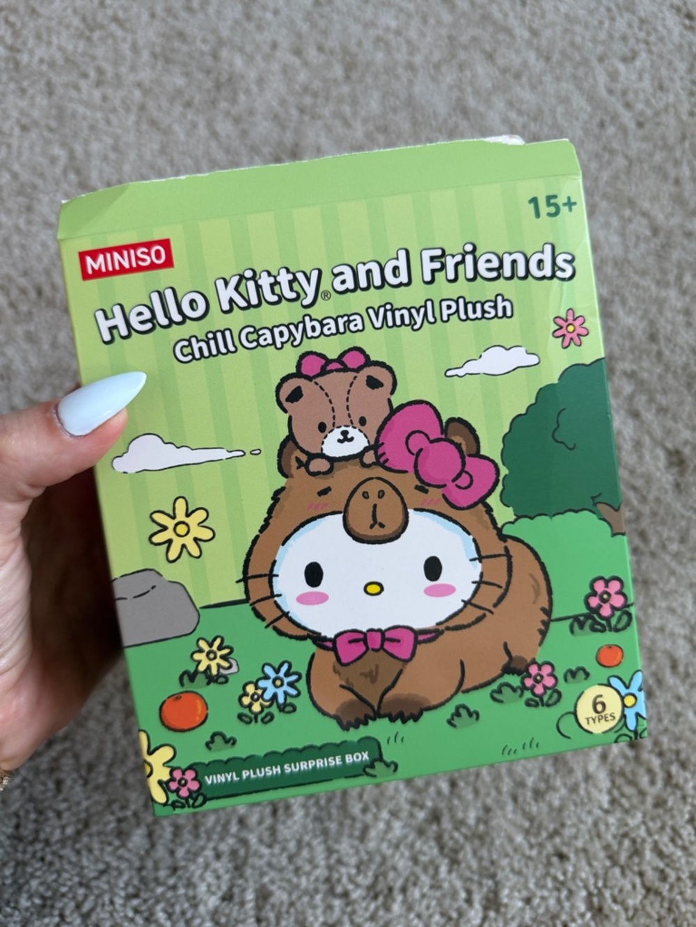 MINISO Hello Kitty and Friends Chill Capybara BLIND BOX CONFIRMED POMPOMPURIN